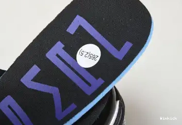 DV1309-100 Jordan Low Concord 1 SE 0419